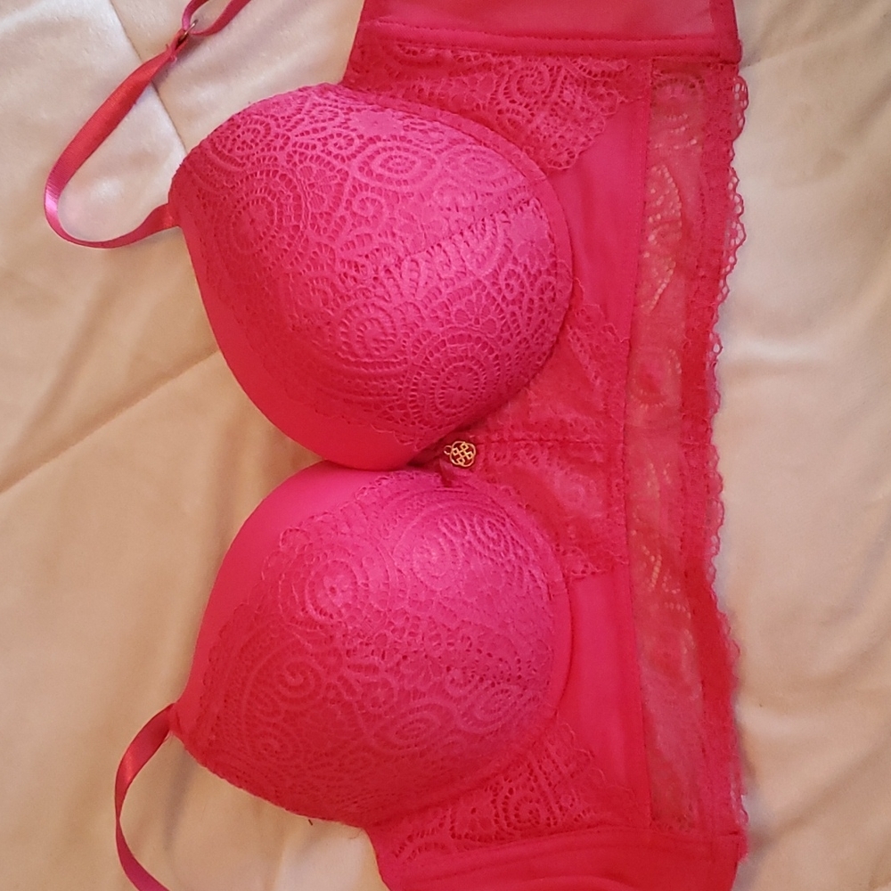 Daisy Fuentes Pink Bra